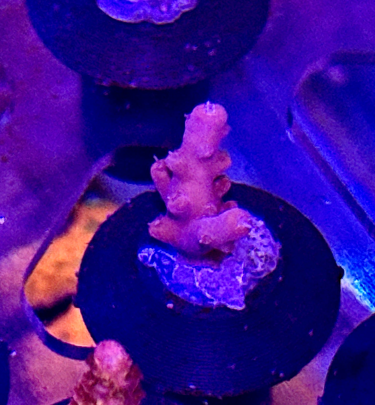 Acro Frag